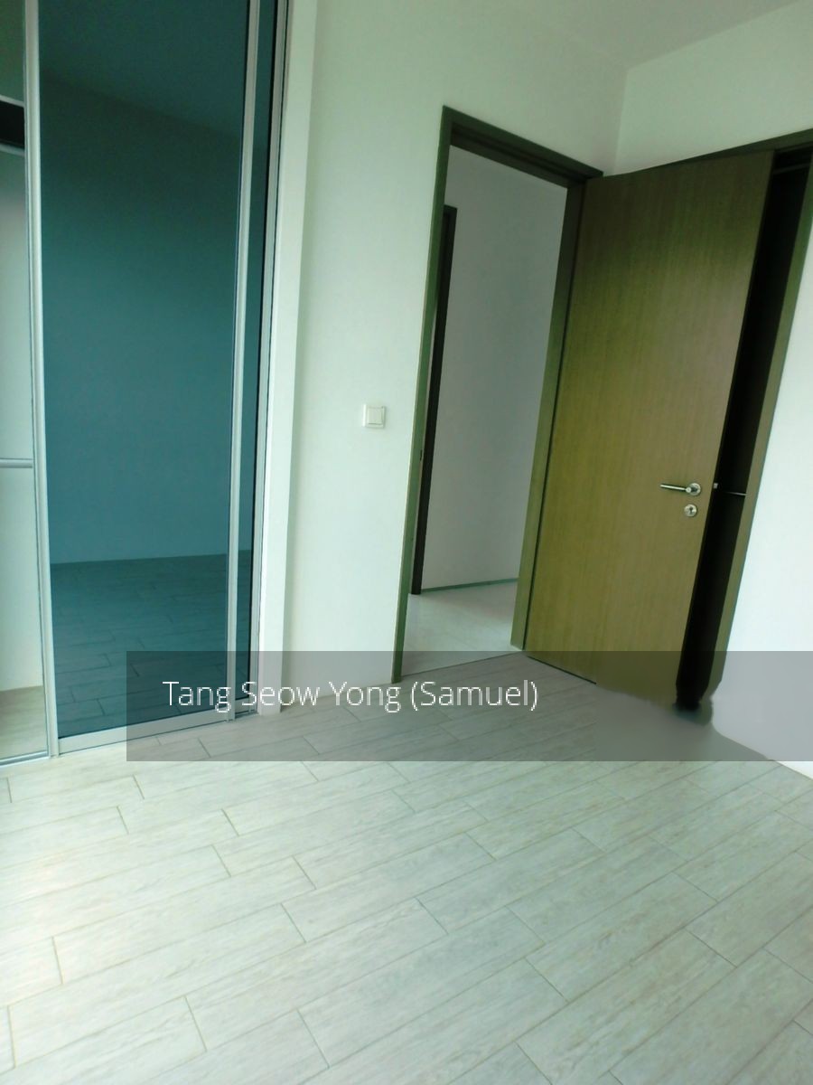 7 on Chapel (D15), Apartment #138592282